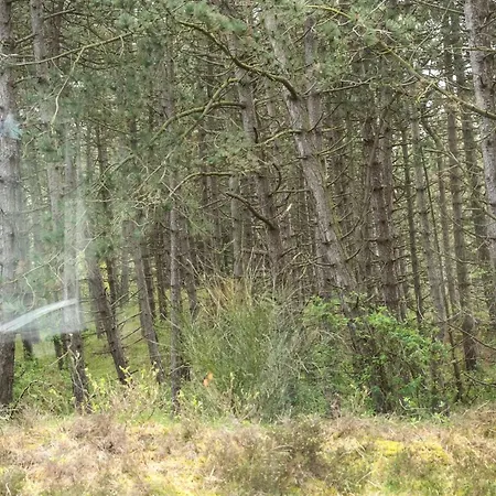 Hébergement de vacances Solvey - 2km From The Sea By Interhome *